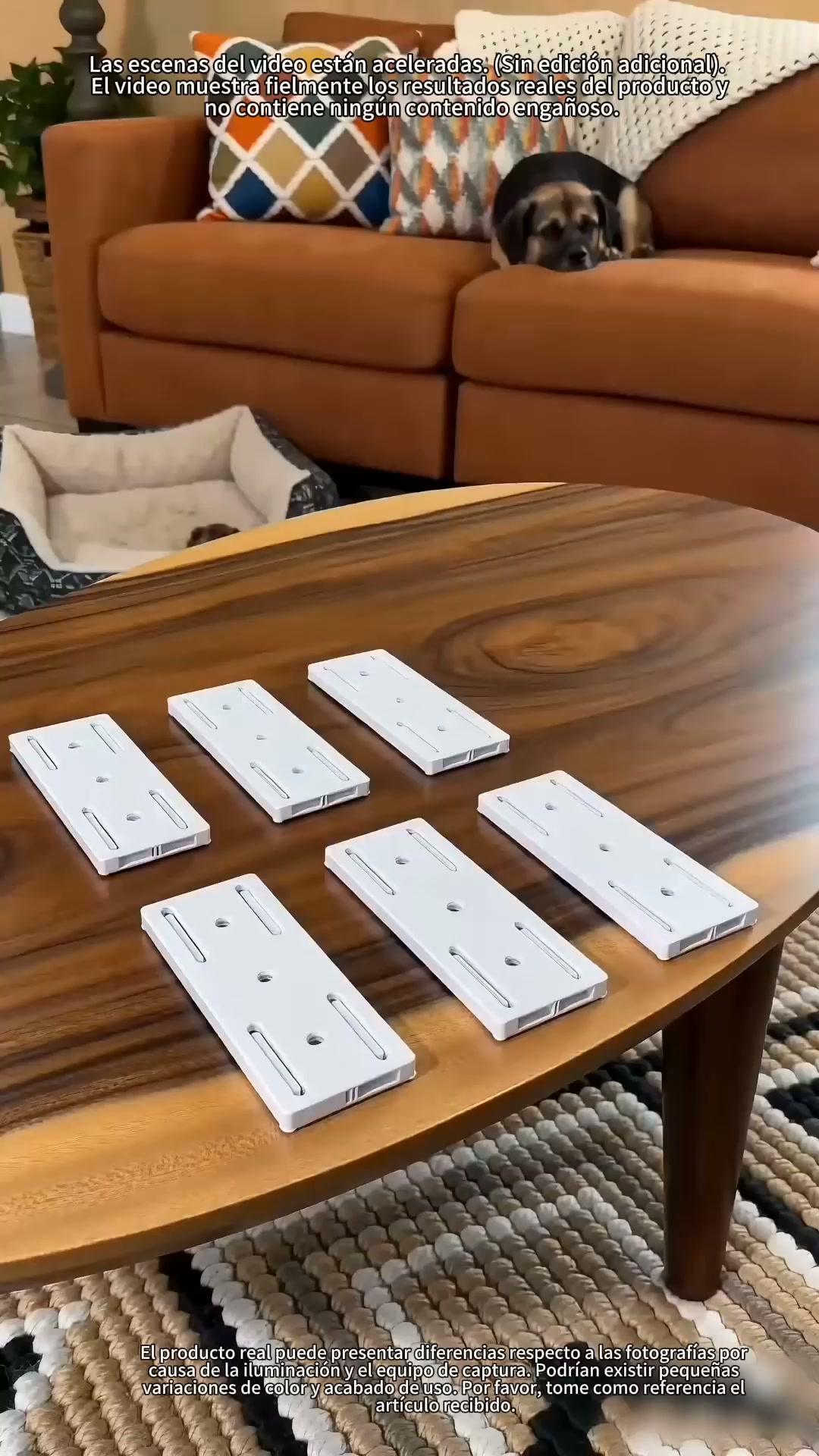 Everything In Its Place