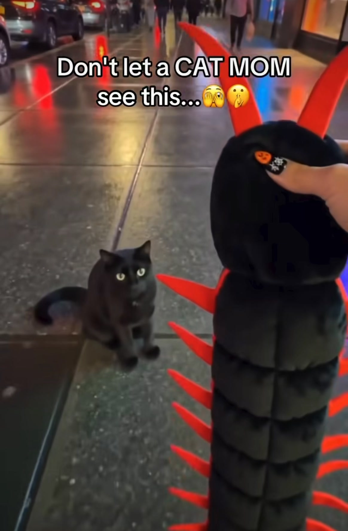 Förvandla din katt till den läskigaste tusenfotingen i år på Halloween!