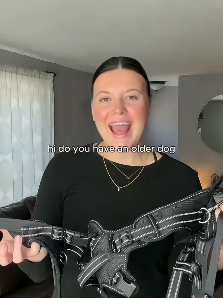 Veterinarian-Recommended Mobility Harness for Dogs