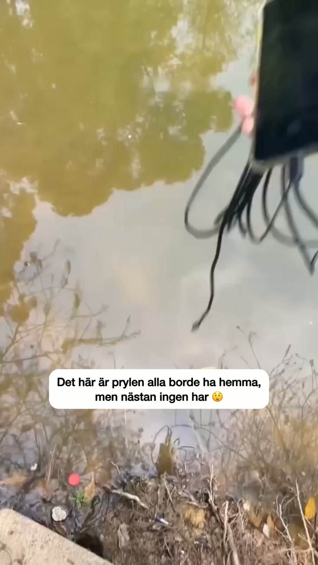 Se felet på sekunder – direkt i mobilen