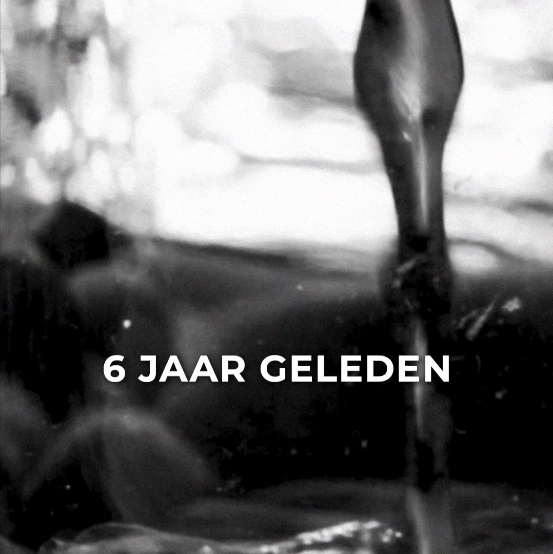 Introductieaanbieding met €12 korting & gratis verzending!