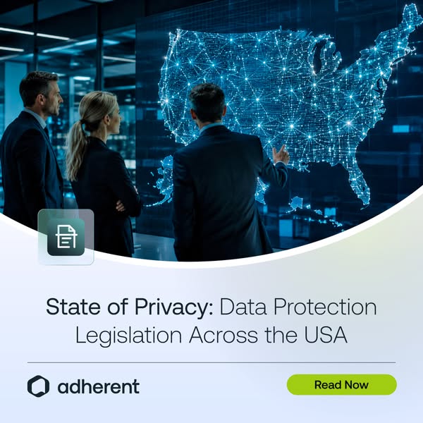 19 State Privacy Laws. No Federal One.