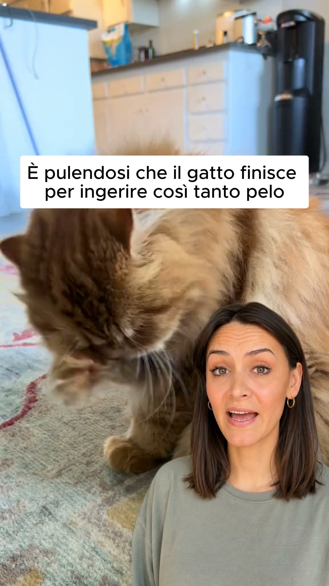 1 acquistato, 1 in OMAGGIO