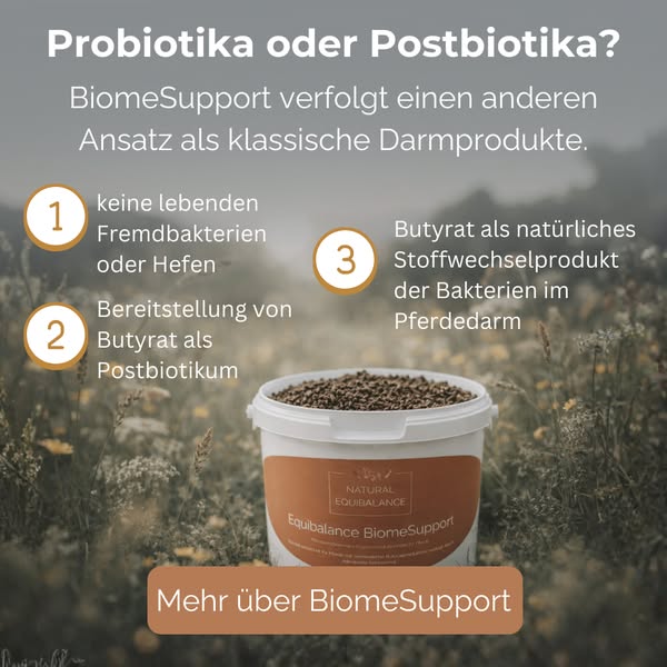 Jetzt den Unterschied entdecken