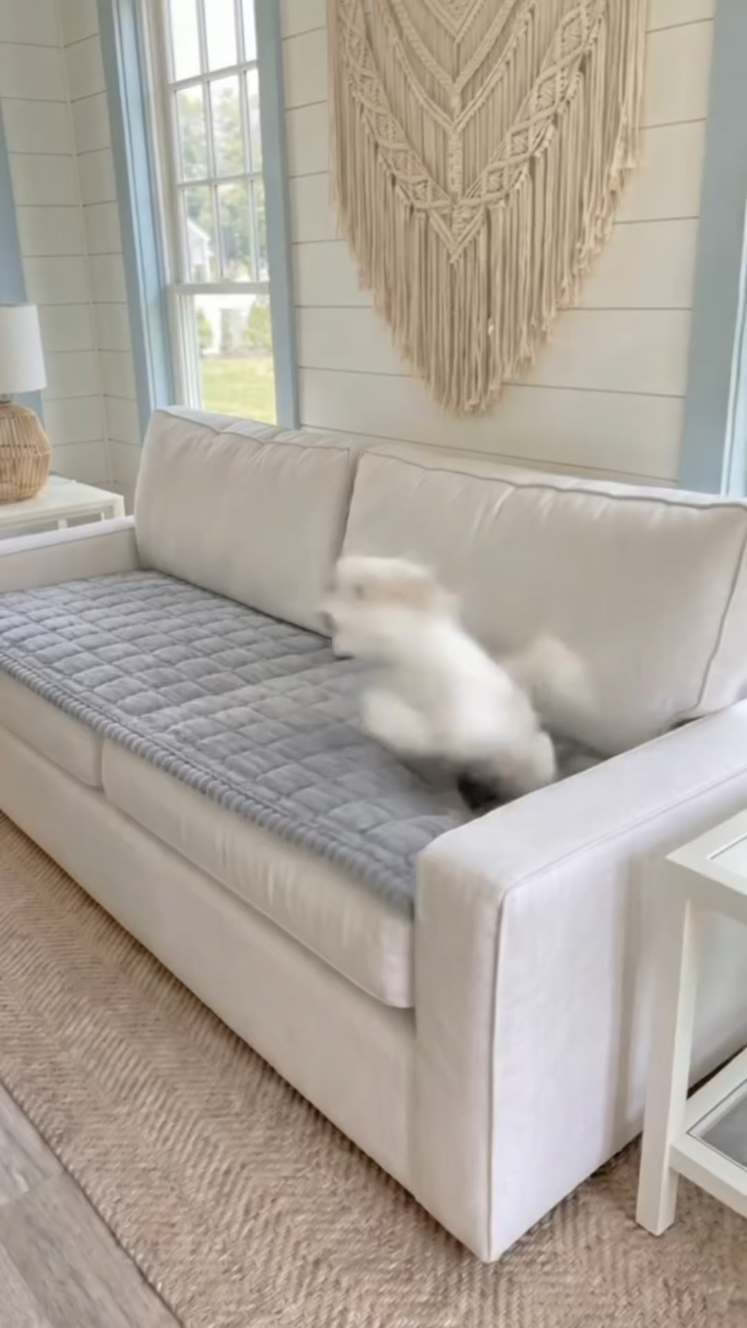 Schützt dein Sofa. Dein Haustier wird sie Lieben!
