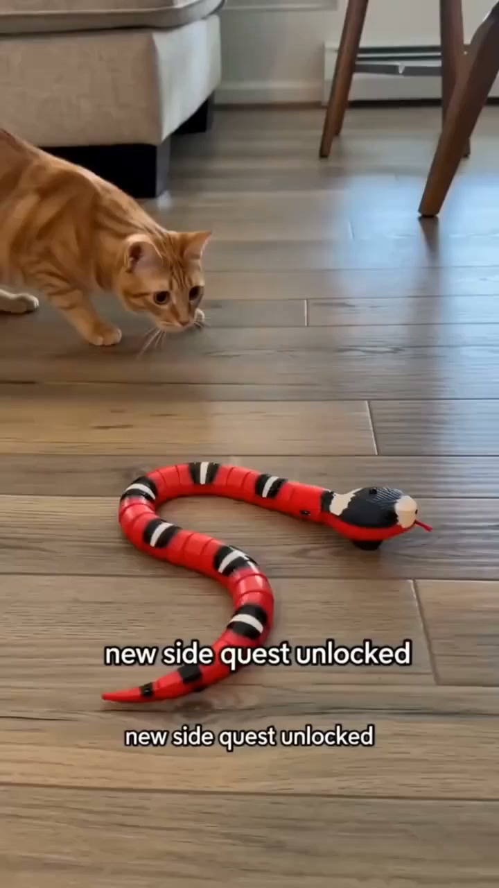 The Prank That’ll Have Everyone Jumping!