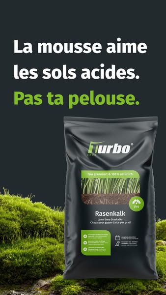 La base d'une pelouse dense et verte.