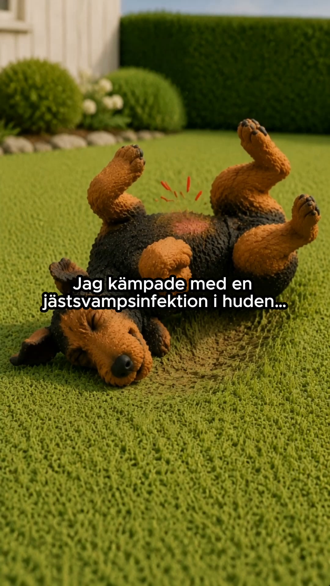 Svampinfektioner slutar inte förrän du fixar det här.