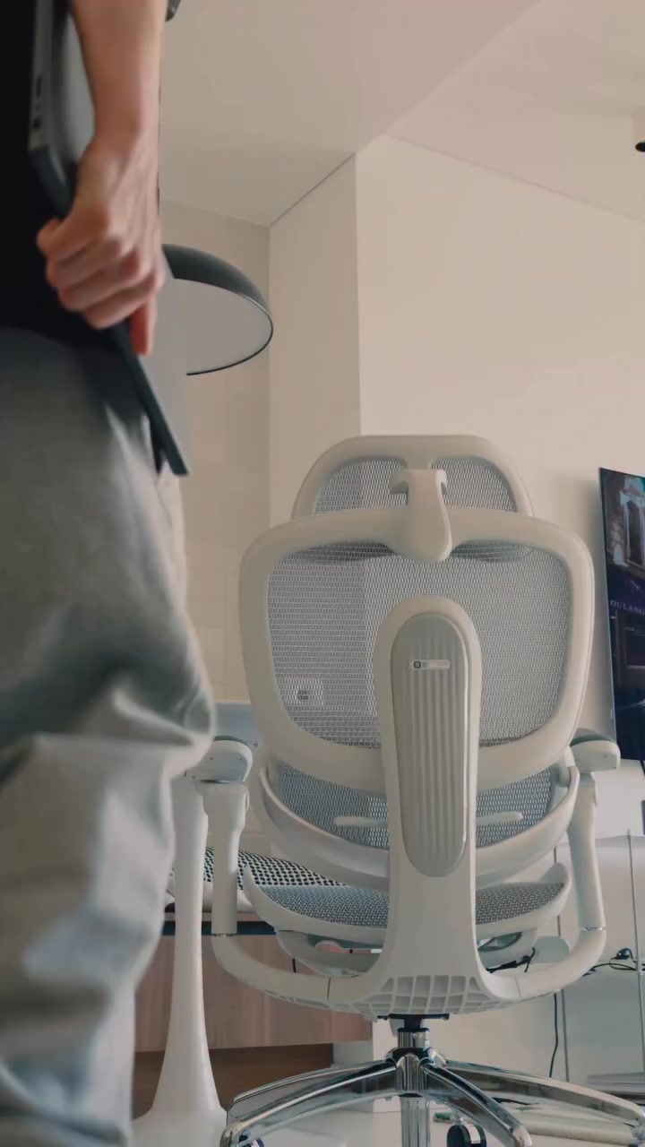 Sihoo Doro C300 Pro V2 Full-Body Adaptive Ergonomic Chair