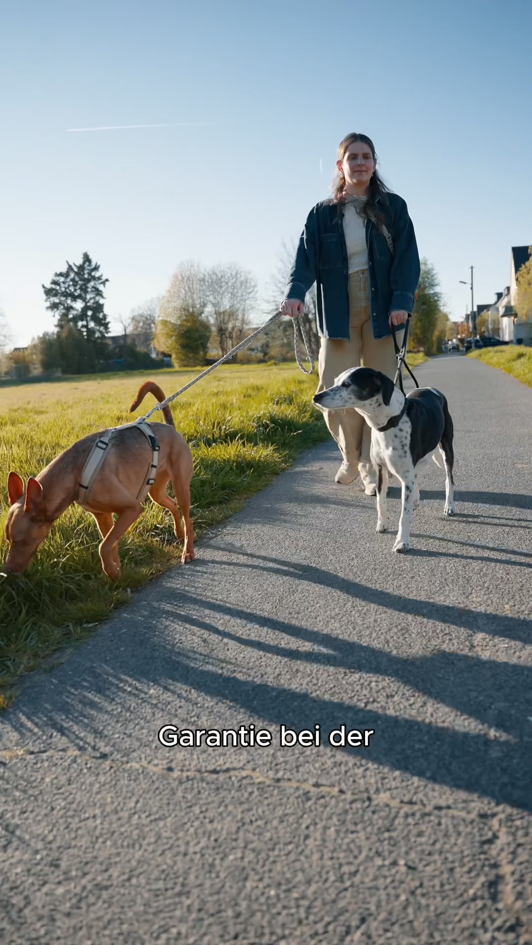 Mit Tierärzten sorgfältig entwickelt!