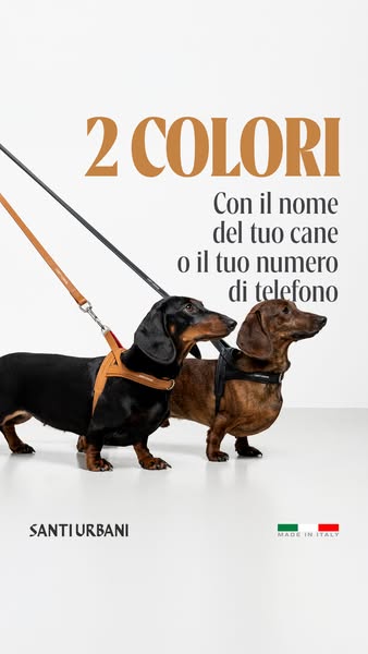 Libertà di movimento, ogni giorno