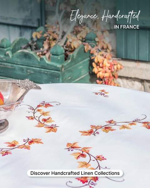 Discover the collection
