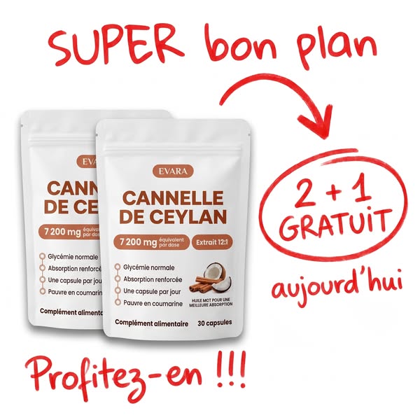 Cannelle de Ceylan — équivalent 7 200 mg, avec huile MCT