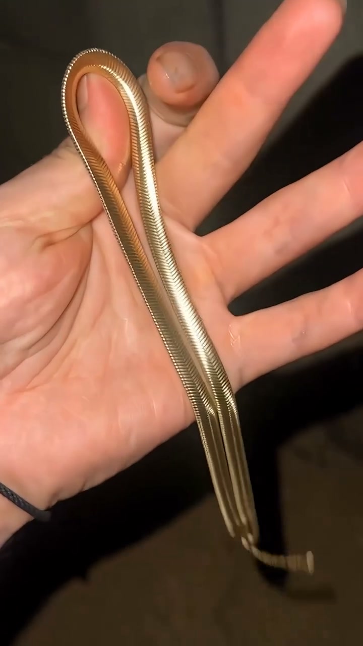 Wait… Is That a Real Snake?