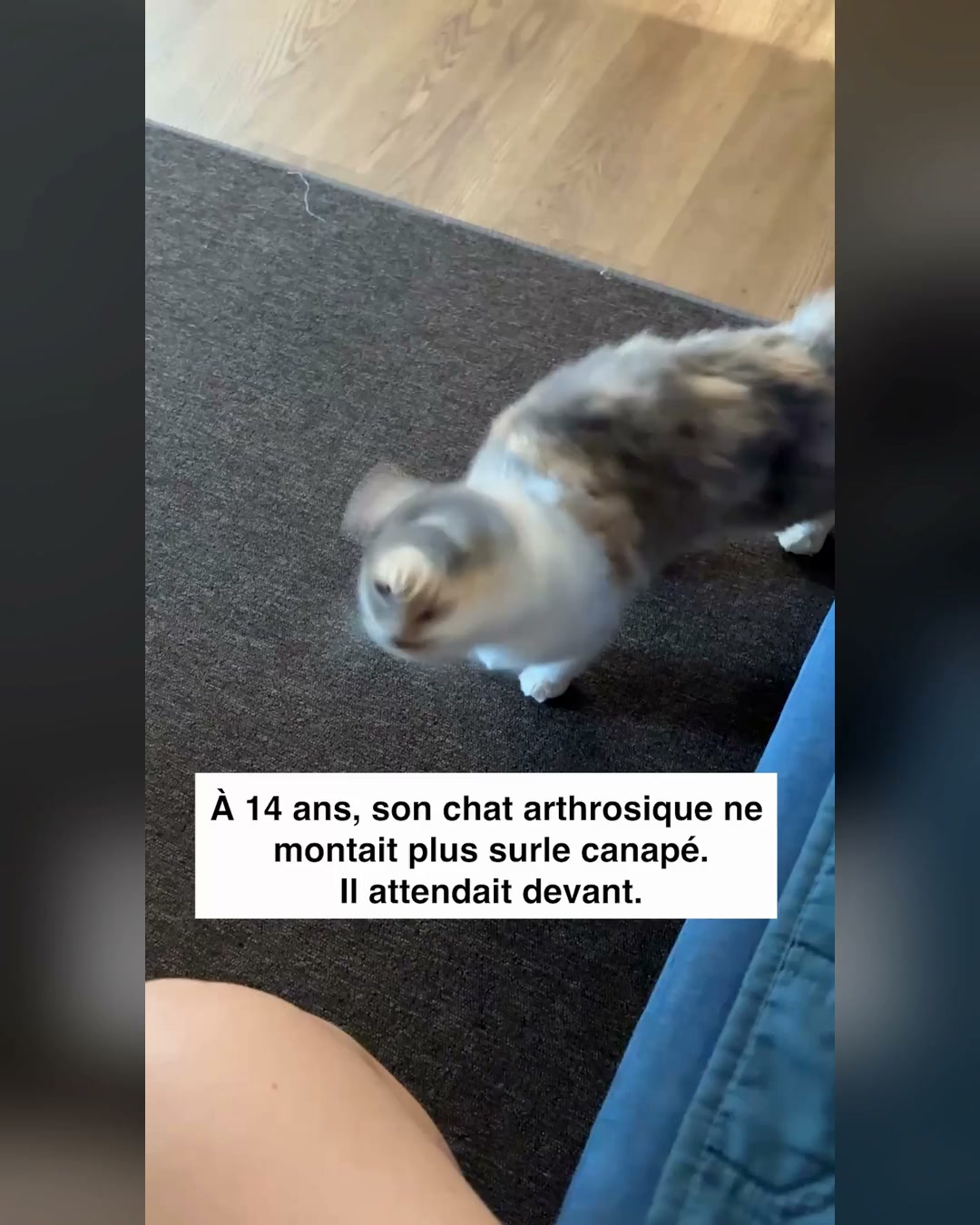 Soulage ses articulations