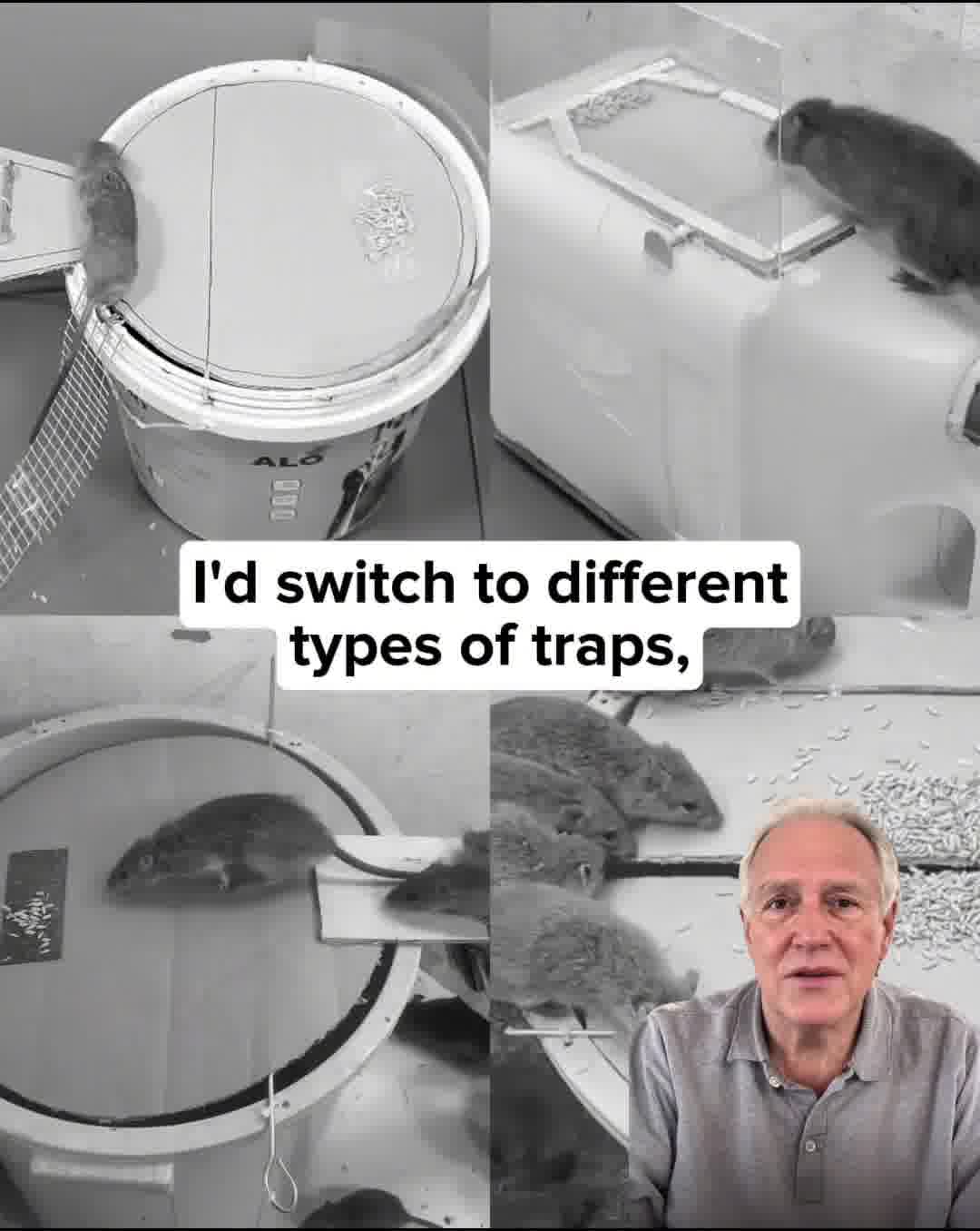 Banish Rodents For Good Quickly and Effortlessly