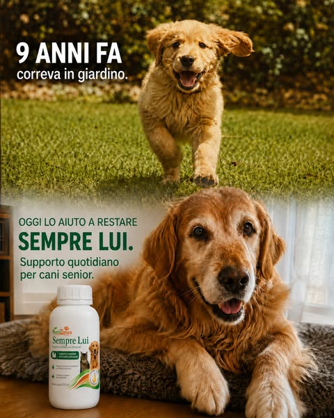 Aiutalo a restare Sempre Lui.