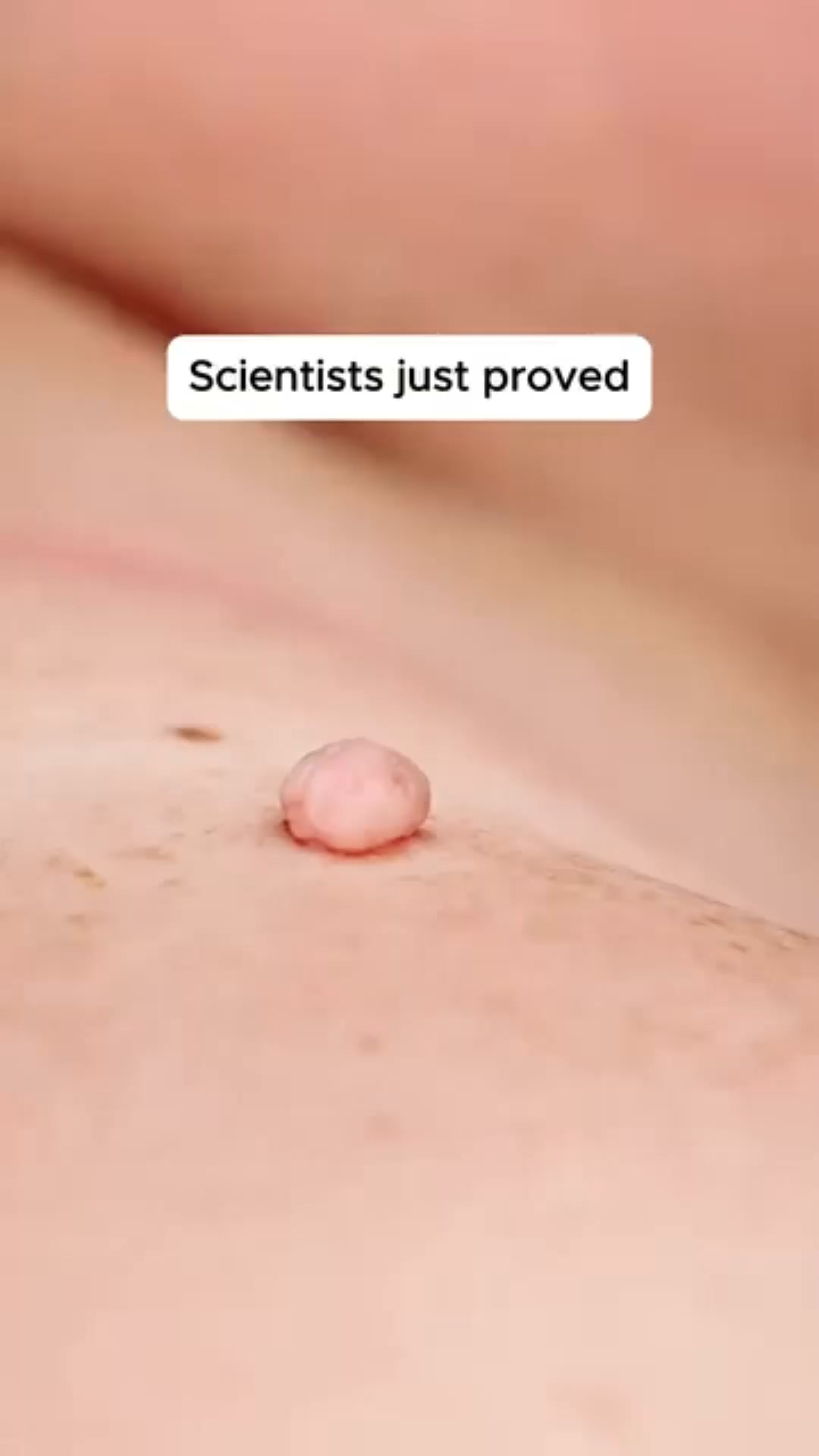 Tutkijat löysivät vihdoin vastauksen
