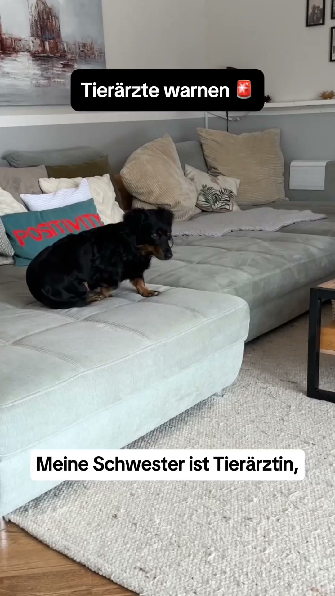 Von Tierärzten empfohlen