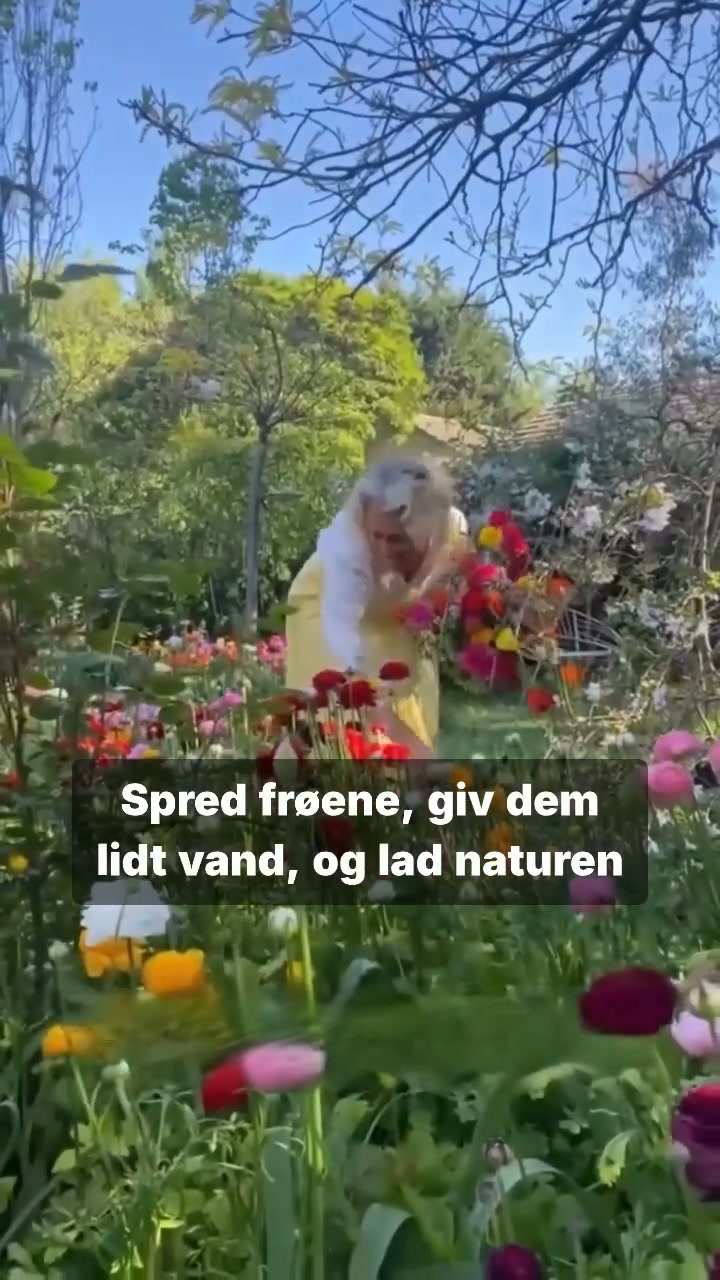 50% RABAT i dag