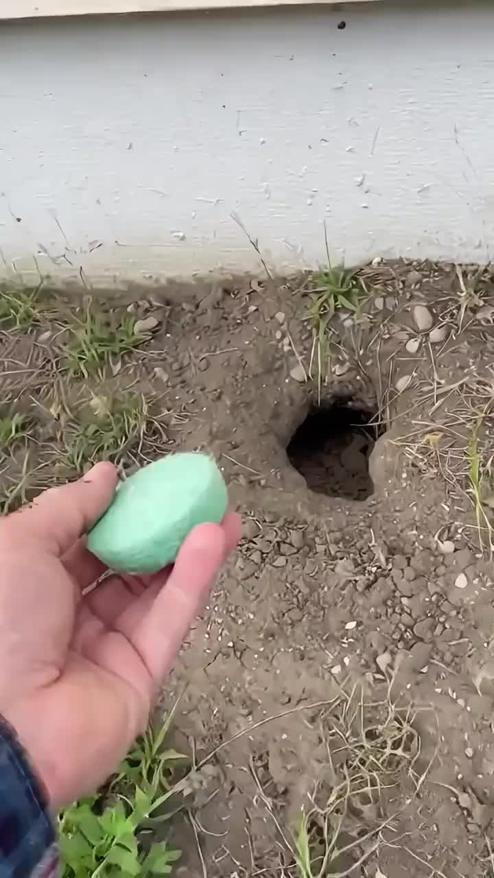 Botanical Rodent Repellent Balls