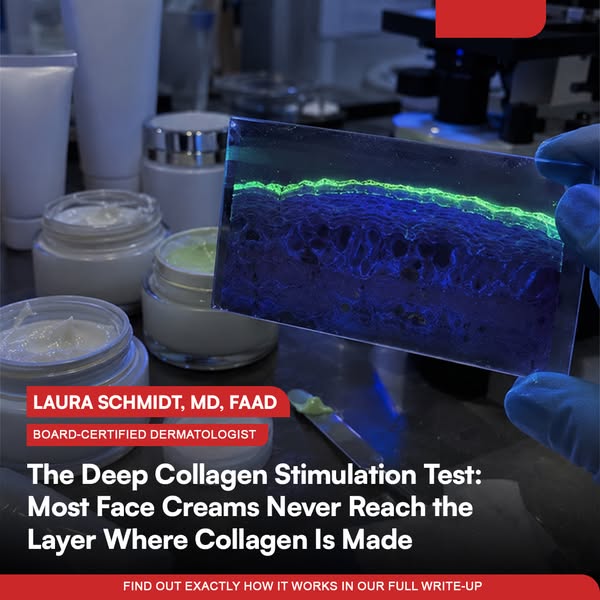 The Deep Collagen Stimulation Test: Most Face Creams Never Reach the Layer Where Collagen Is Made