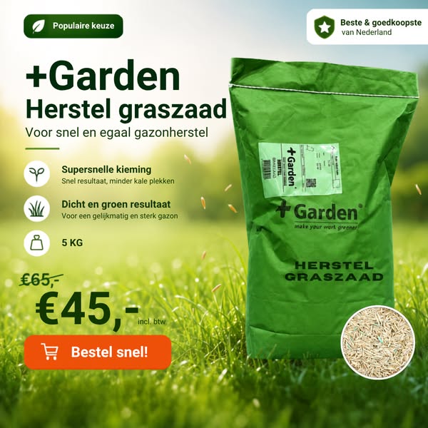 Voor een dichte groene grasmat