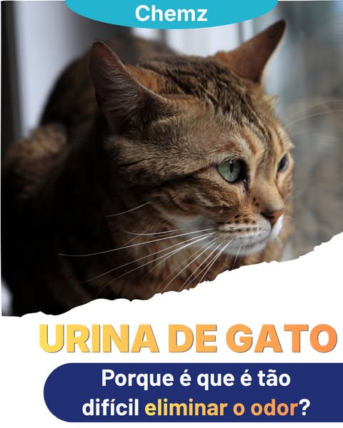 A nossa gama de produtos