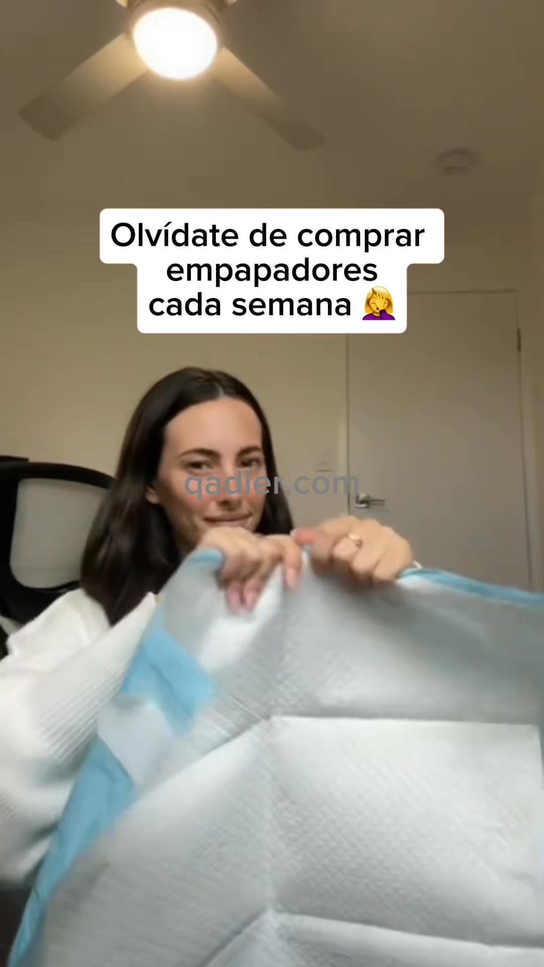 Tu perro sabrá usarlo. Desde el primer día.