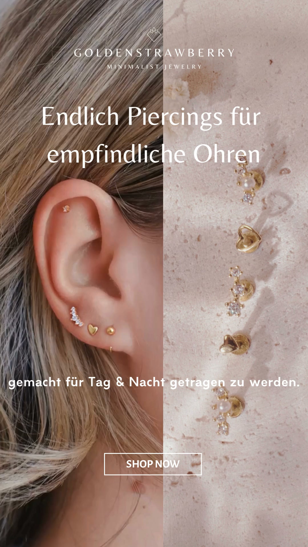 über 65.000 zufriedene Kund:innen