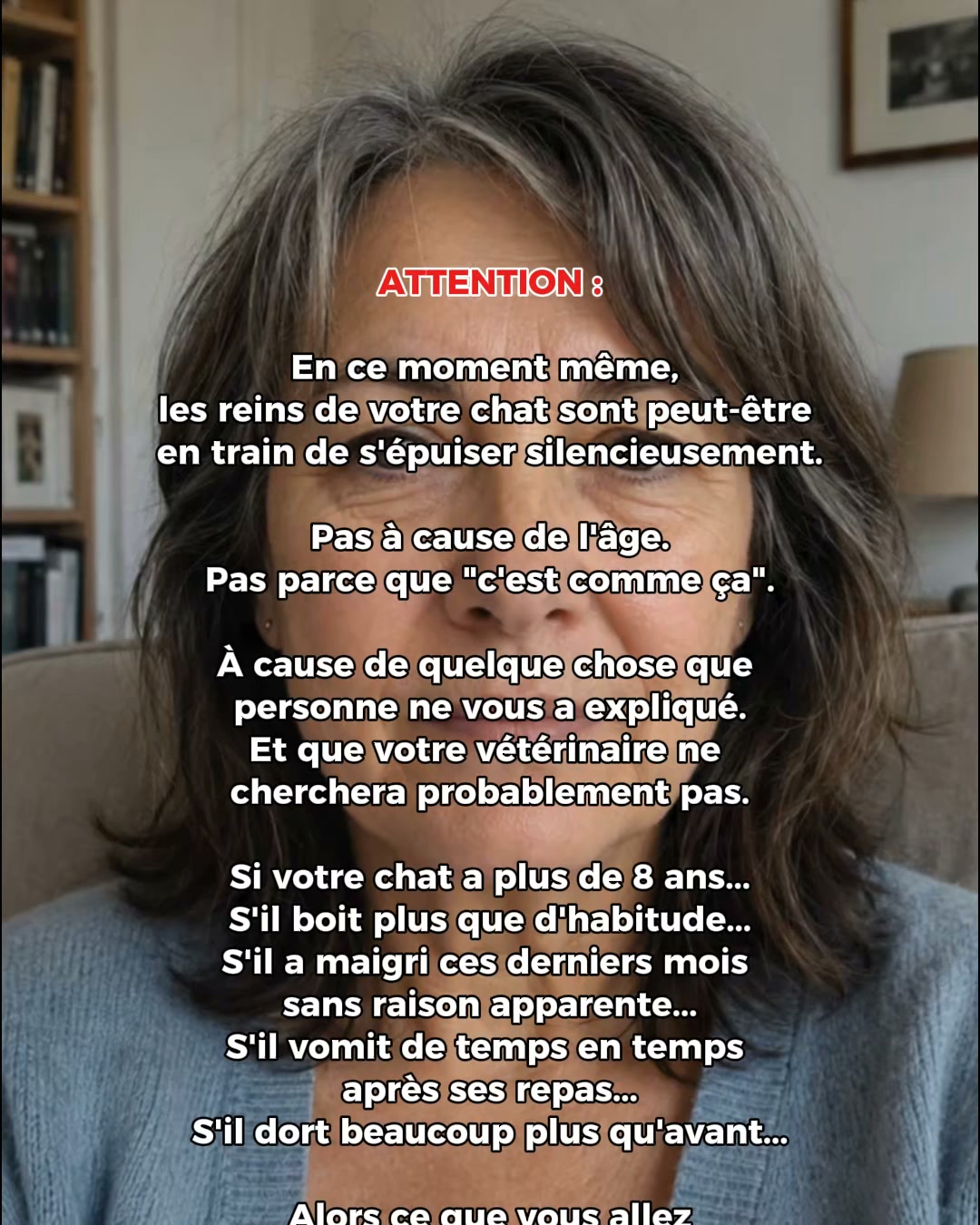 Protégez les reins de votre chat avant qu'il ne soit trop tard