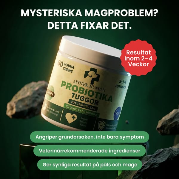Probiotika Som Löser Din Hunds Mag-, Hud- & Energiproblem