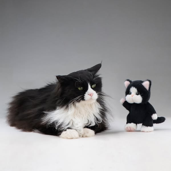 Snowpaw Mochi - XS(15cm)