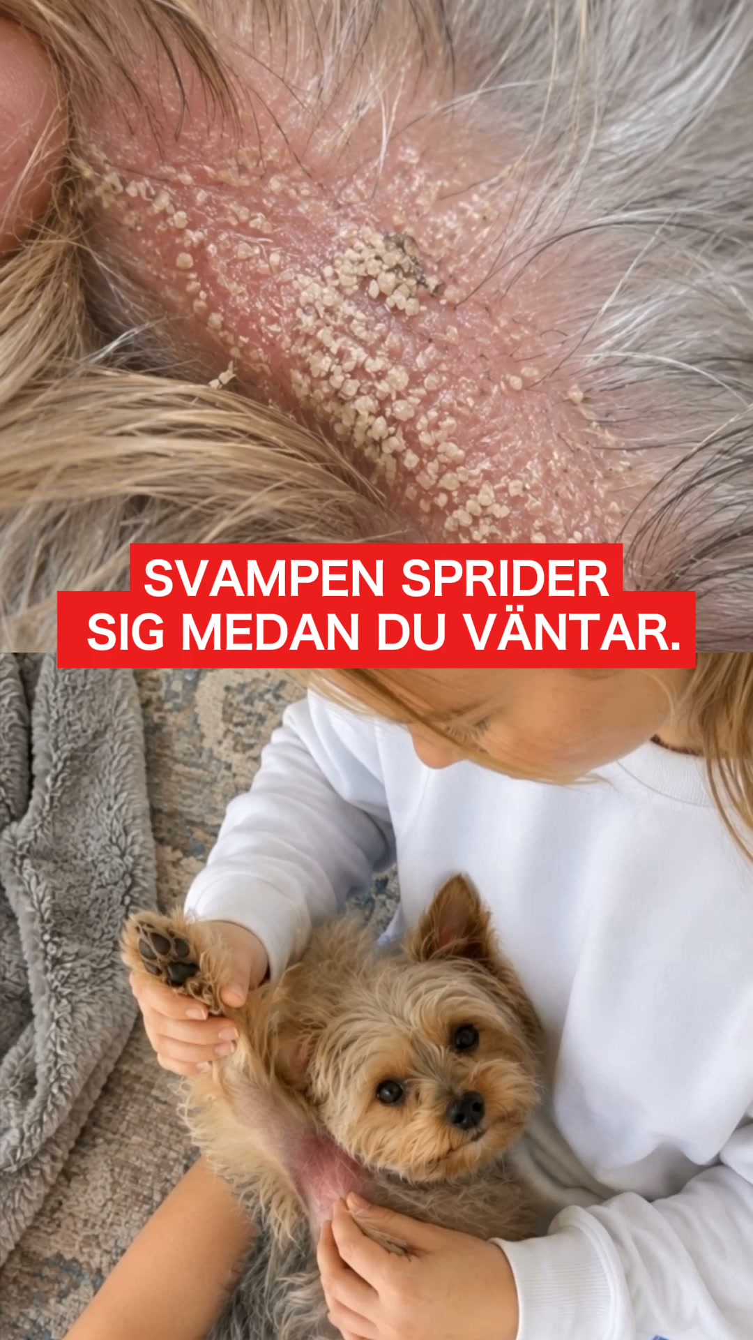 25,000+ hundägare kan inte ha fel