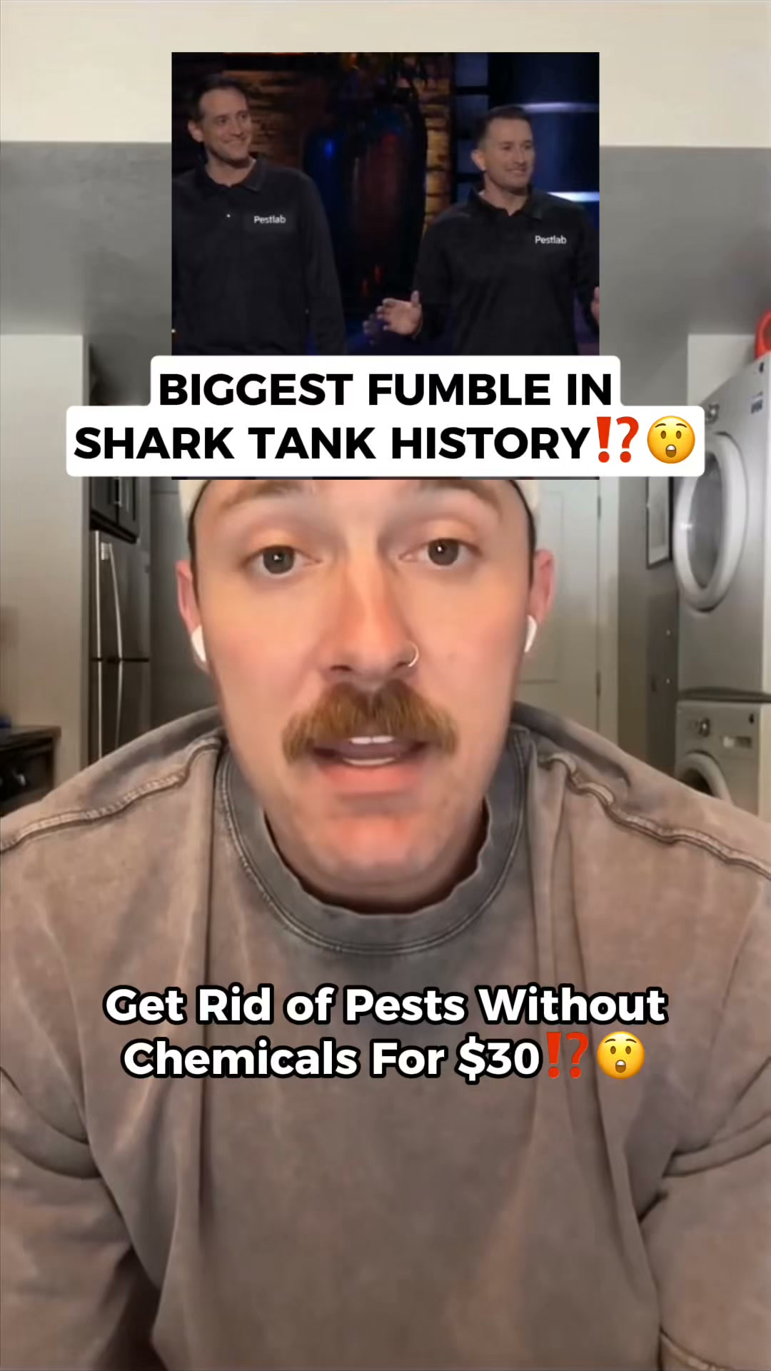 Banish Pests For Good