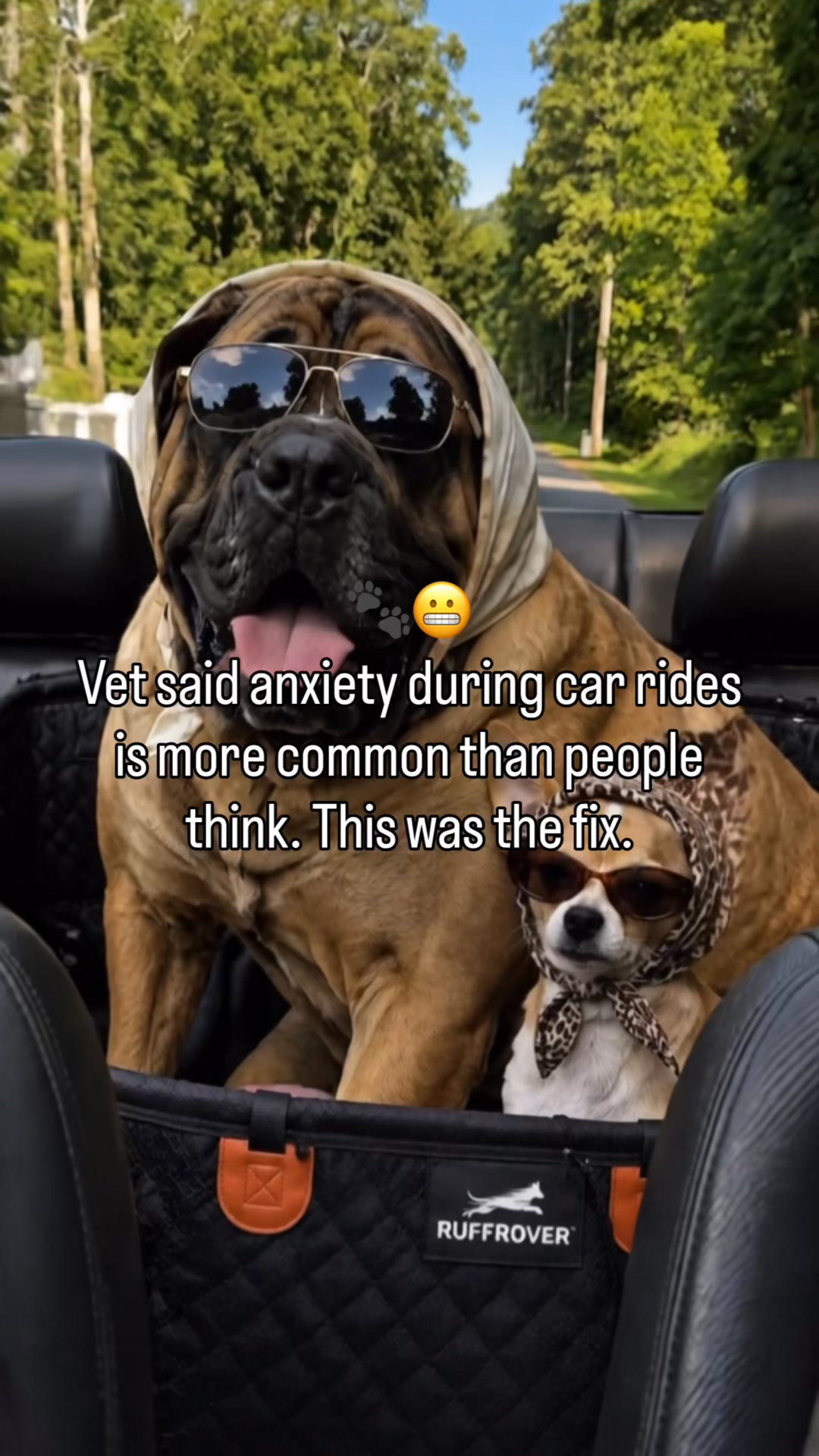 Safe & Comfy Rides in 1 Easy Step