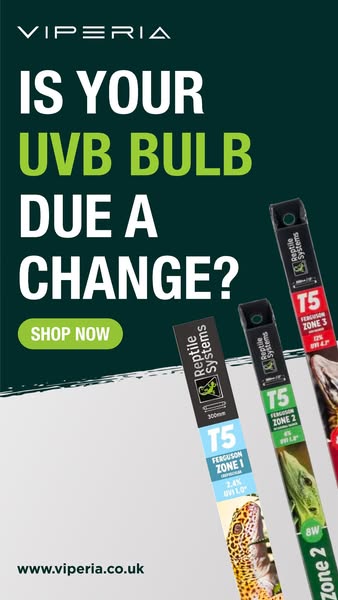 IS YOUR UVB BULB DUE A CHANGE?