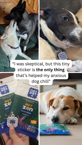 Say Goodbye to Barking, Peeing & Panic — All from Pet Zen