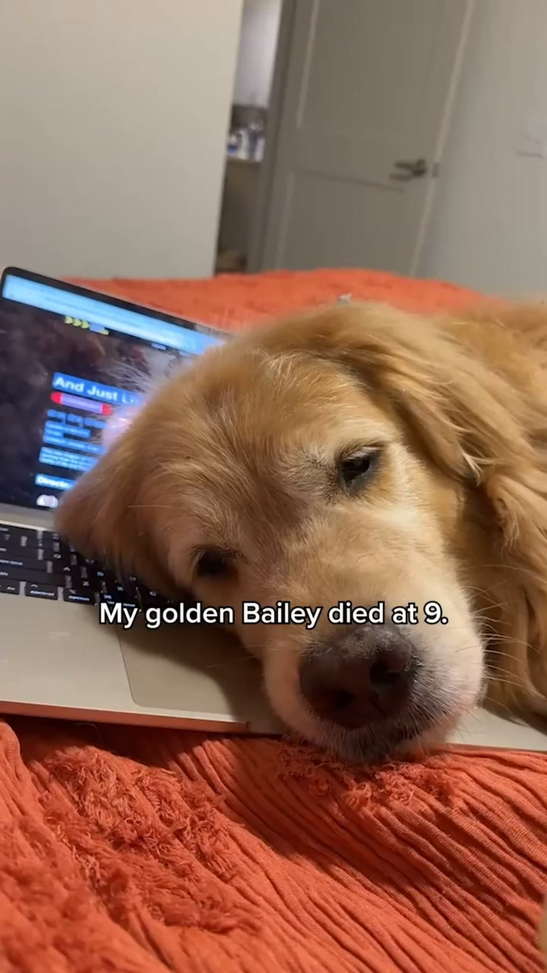 It's not his age. It's his bowl.