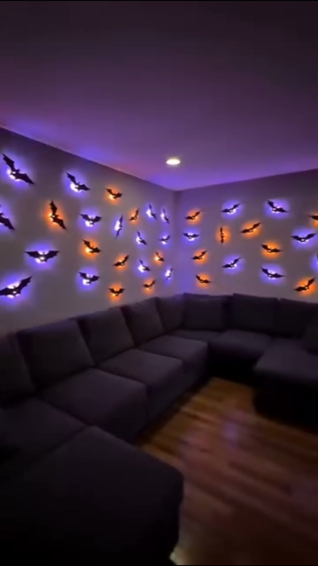 Spooky Season Savings Are Here!