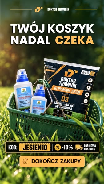10% z kodem JESIEN10 + darmowa dostawa