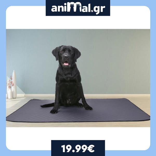 Animal.gr PetStore