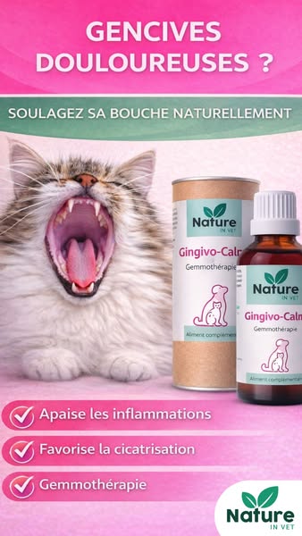 Gingivite du chat : solution naturelle