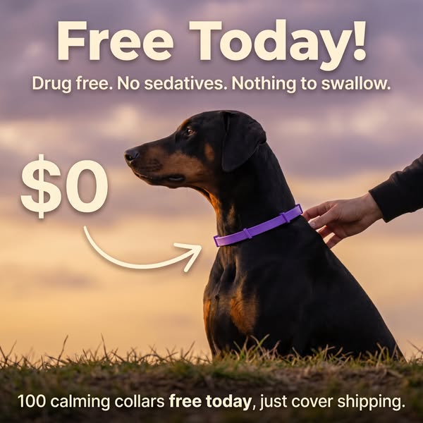 Free Today (Shipping Fee Applies)