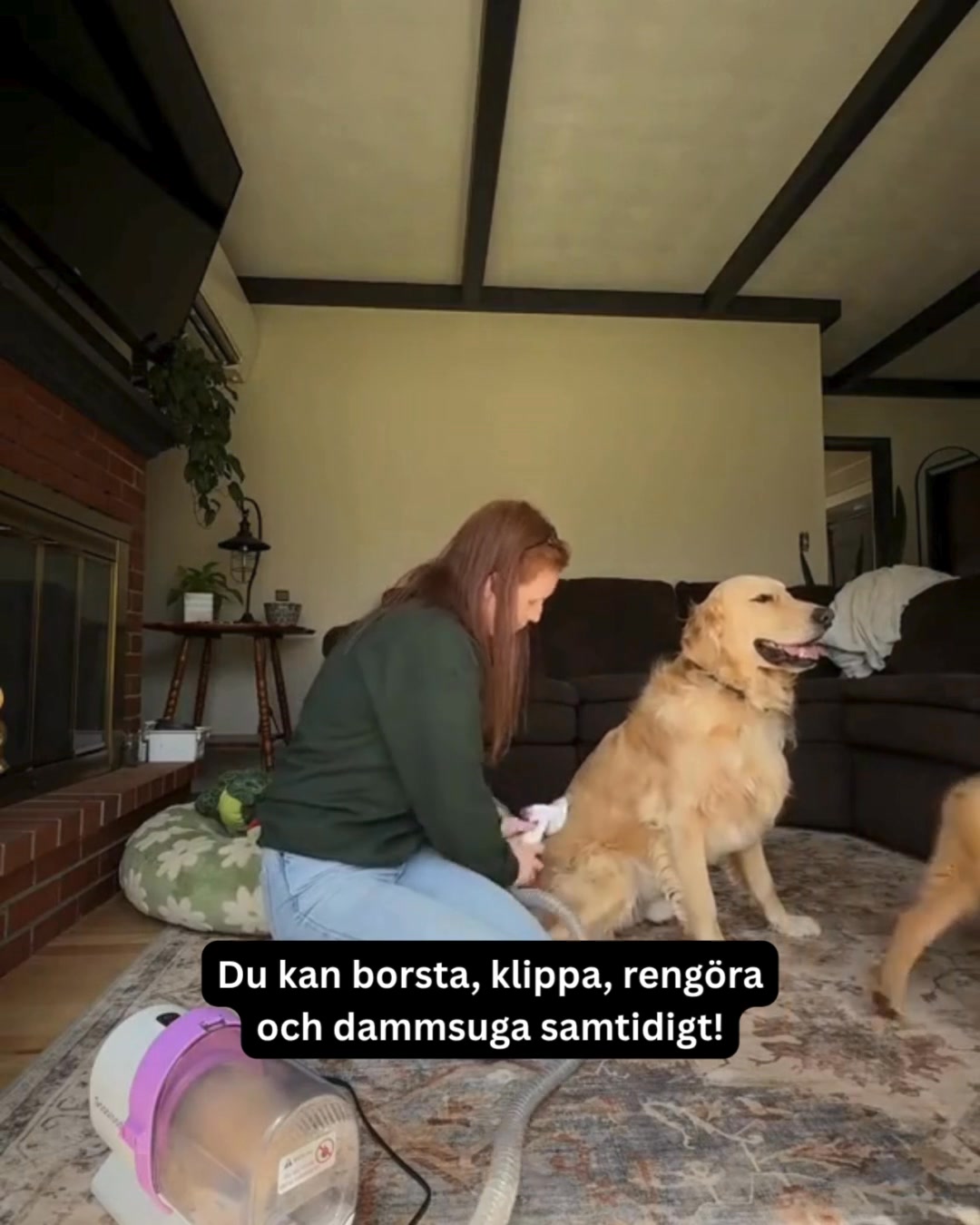 Pälsvård med dammsugare