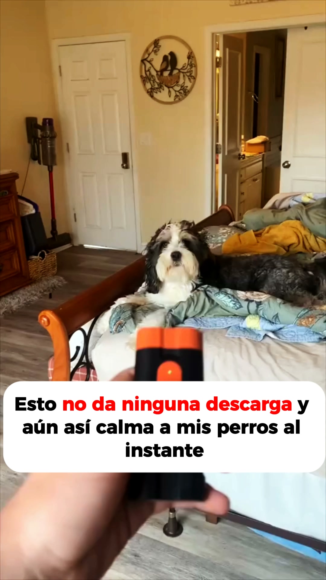 Envío gratis · Garantía 100 días