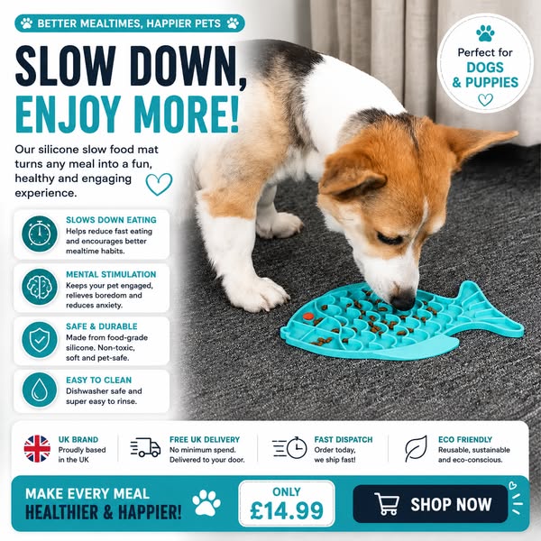 Better Mealtimes Start Here