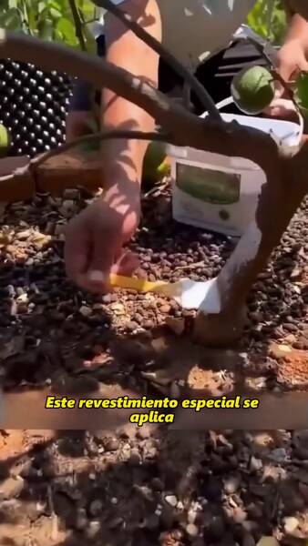 Envío gratisPago contra entrega