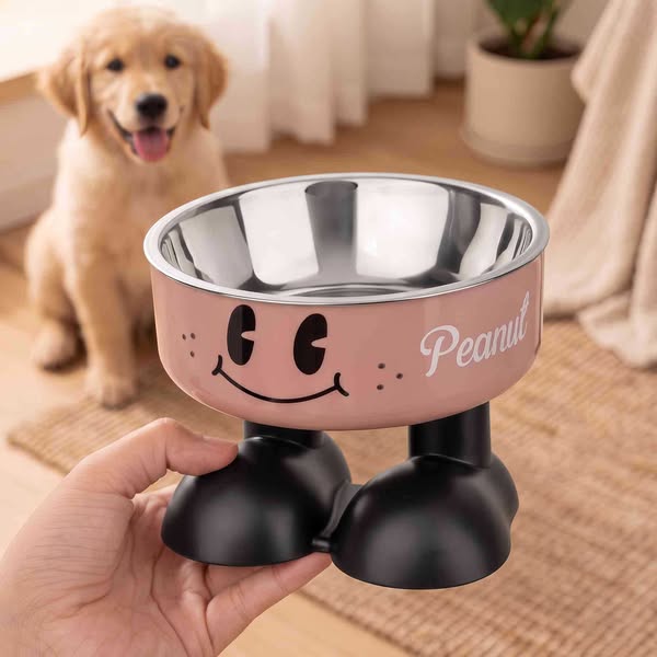 Custom Cartoon Elevated Pet Bowl with Name, Dog/Cat Food & Water Feeder Holder, Raised Neck Protection, Birthday Gift for Pet Lovers/Owners/