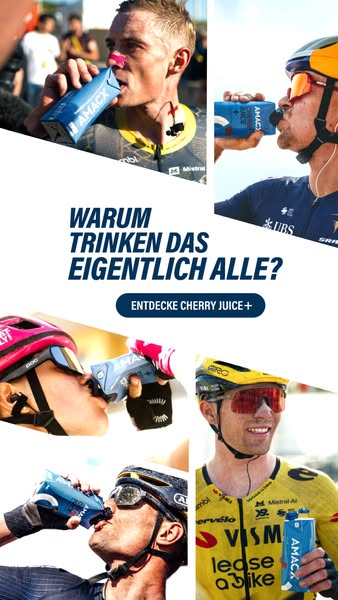 Wonach die Profis greifen